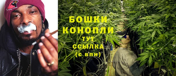 ГАЛЛЮЦИНОГЕННЫЕ ГРИБЫ Белокуриха