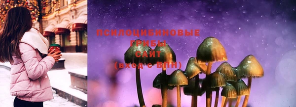 ГАЛЛЮЦИНОГЕННЫЕ ГРИБЫ Белокуриха