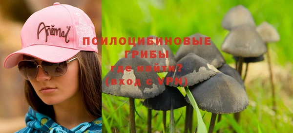хмурый Белоозёрский