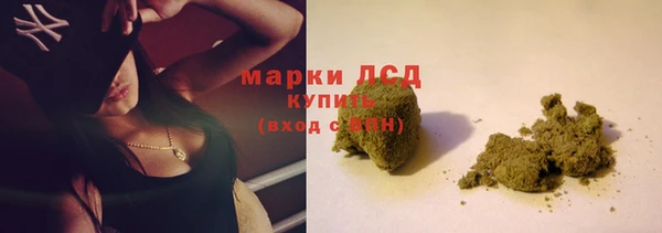 ГАЛЛЮЦИНОГЕННЫЕ ГРИБЫ Белокуриха