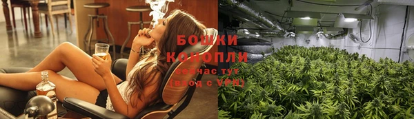 прущие грибы Калач